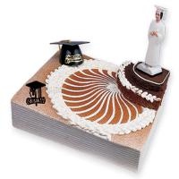 Mezuniyet Pasta Üstü Süsleme Seti