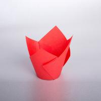 TULİP LALE KEK KALIBI - KIRMIZI